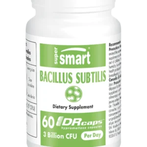 Bacillus Subtilis